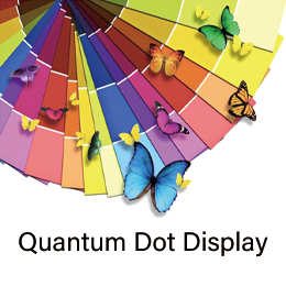 Quantum Dot Display