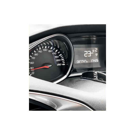 PM LCD Module (Mono) PM LCD Module (Mono)