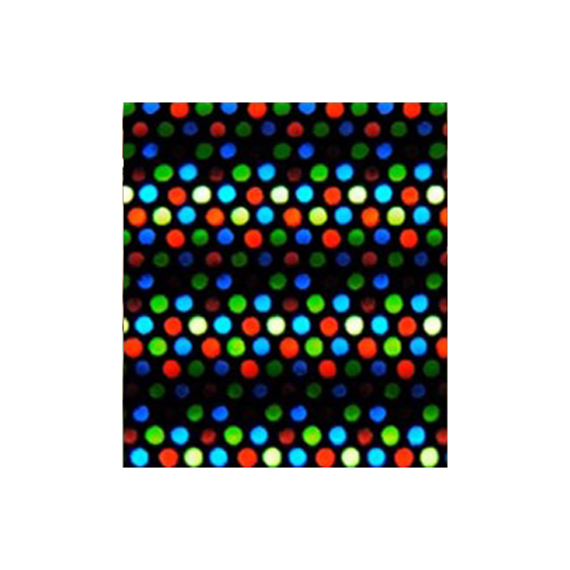 AM OLED Module AM OLED Module
